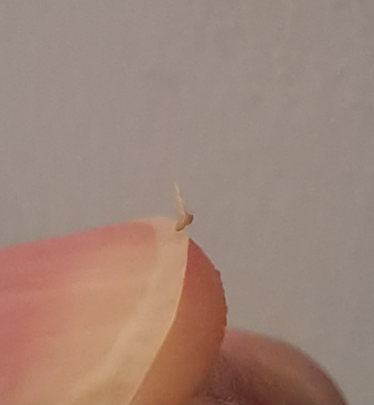 20230802_013555.jpg