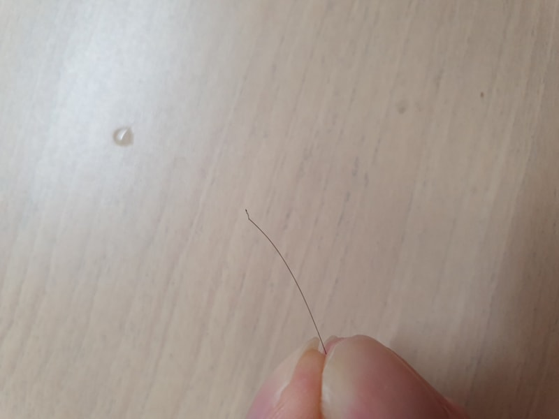 20190729_001654.jpg