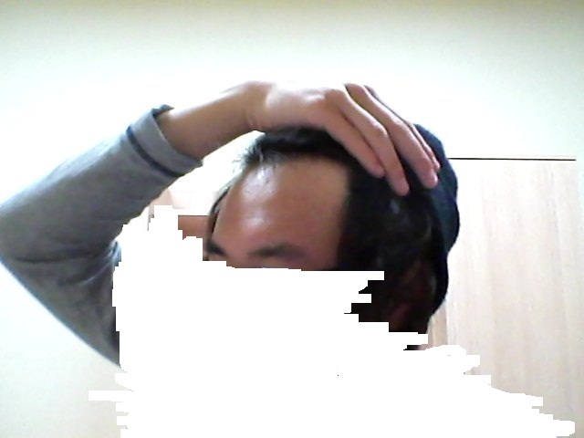 Snapshot_20100301_2.jpg