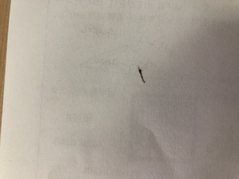 KakaoTalk_20190716_115142849.jpg