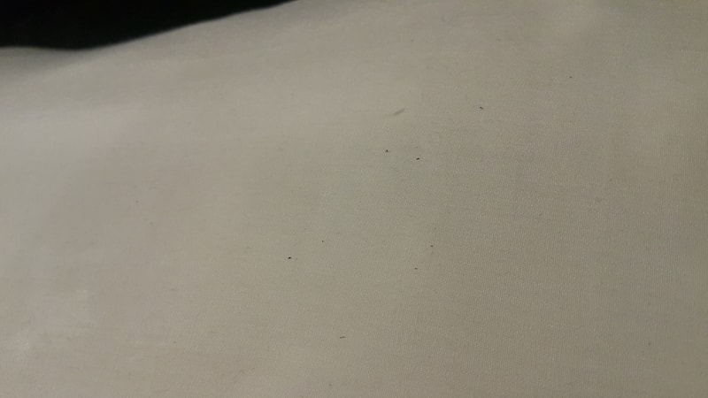 20190209_025621.jpg