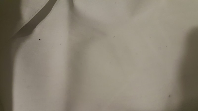 20190209_025627.jpg