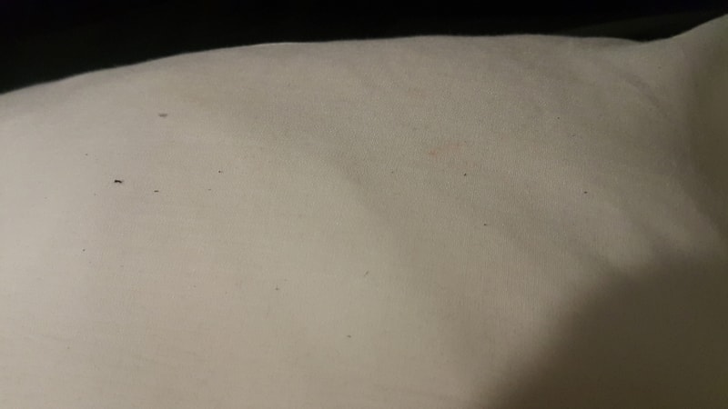 20190209_025615.jpg