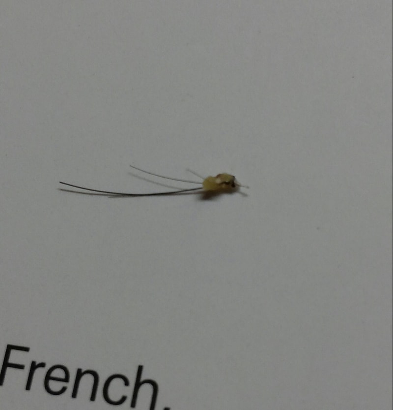 20140916_114615-1.jpg