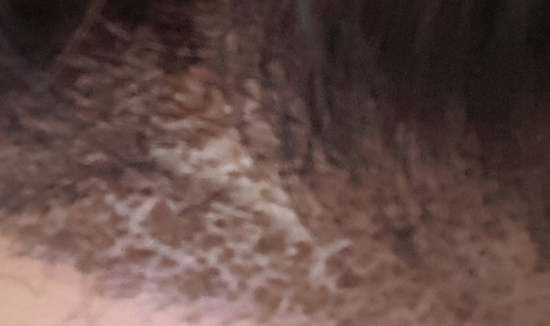 20191031_154239.jpg