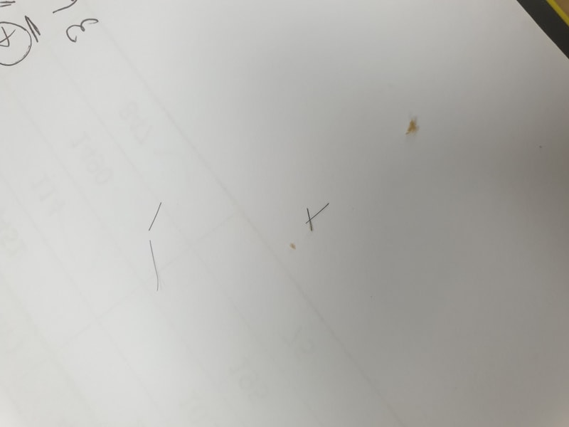 20190219_165831.jpg