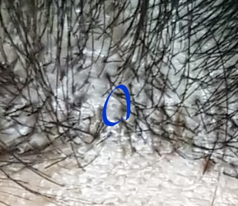 Screenshot_20190213-202638_Gallery.jpg