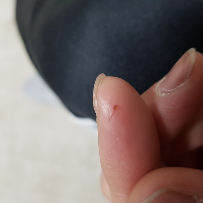 20180213_213849.jpg