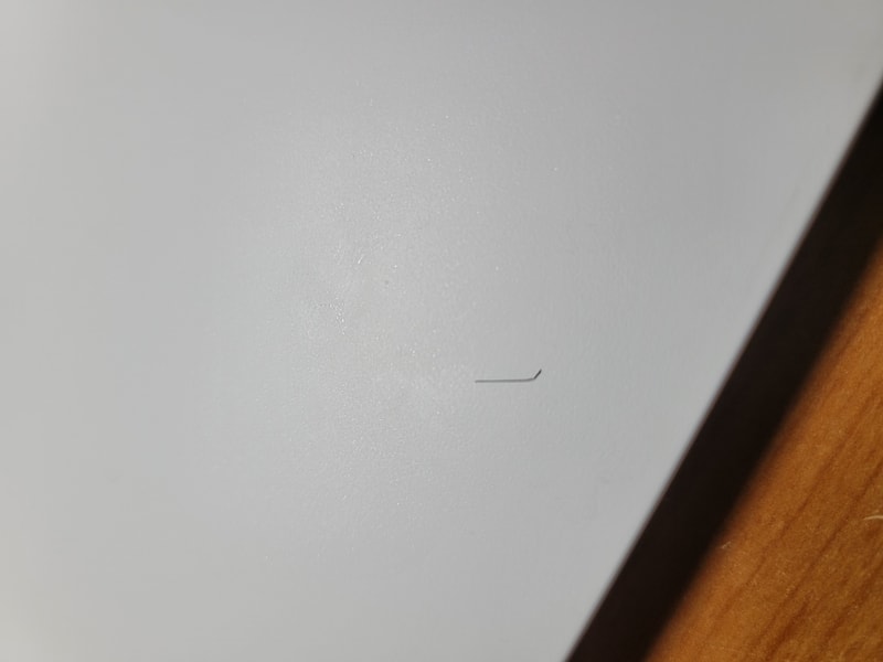 20220313_164247.jpg