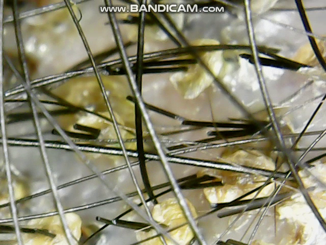 vlcsnap-2021-03-30-21h46m07s459.png