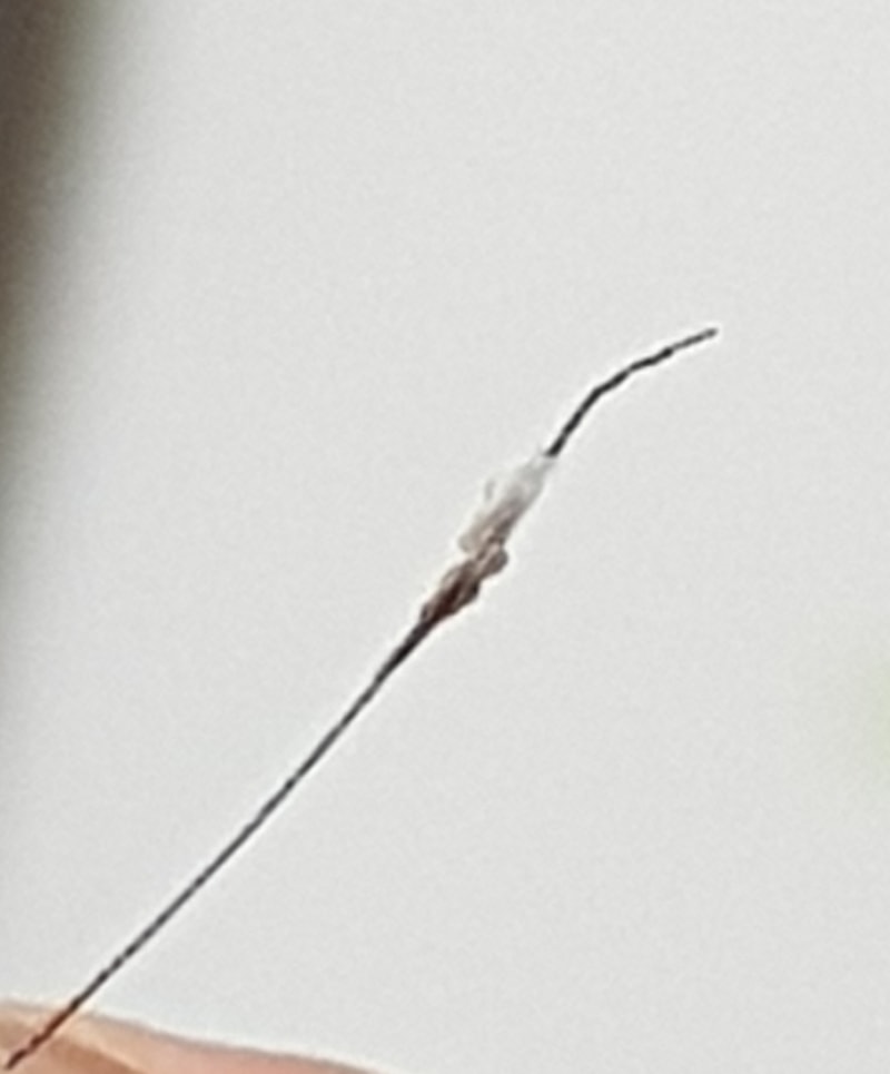20170816_012402.jpg