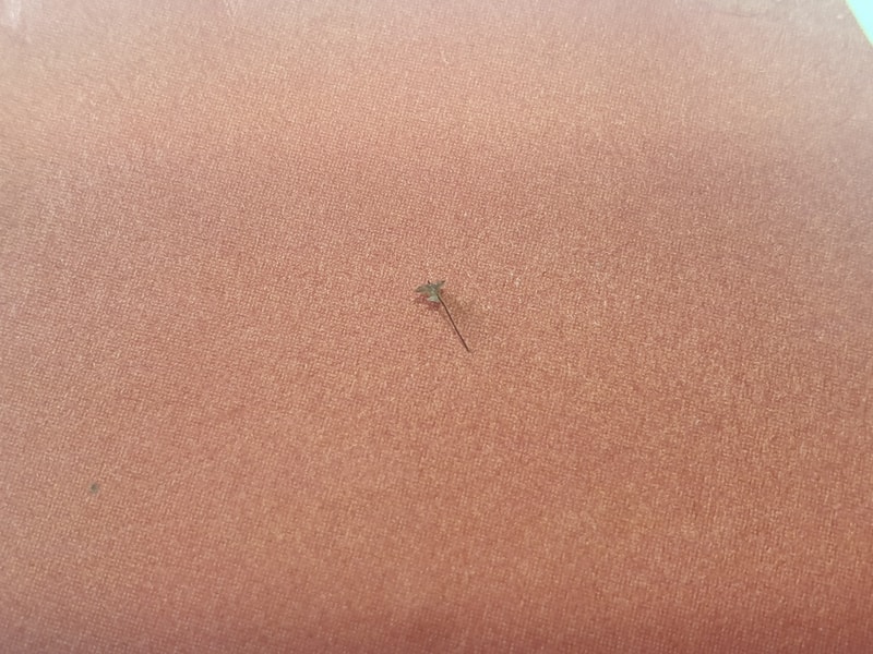 20190822_113814.jpg