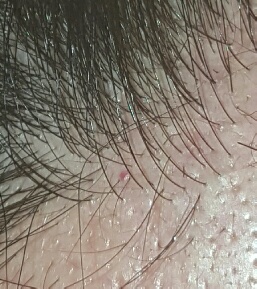 20170310_075227.jpg