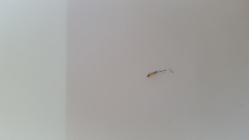 20190202_150947.jpg