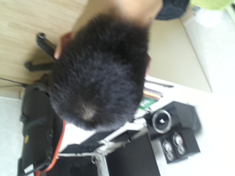 20141115_020208.jpg