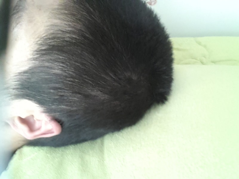 20141118_110456.jpg