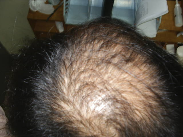 S2010002.JPG