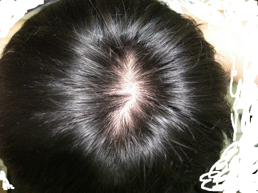 20070301_1.jpg