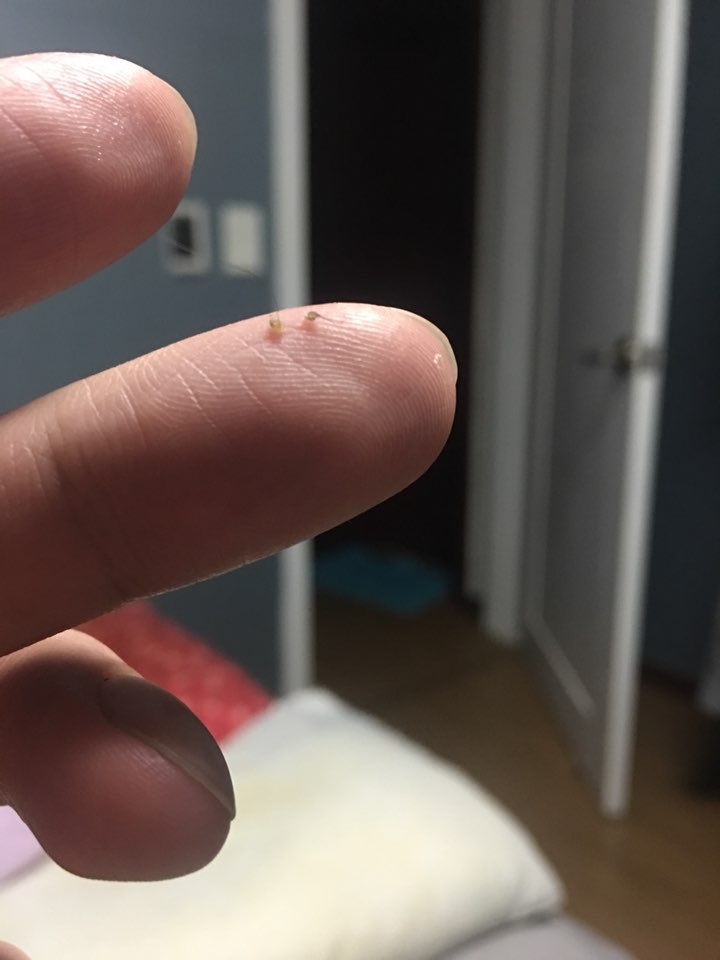KakaoTalk_20180218_013046987.jpg