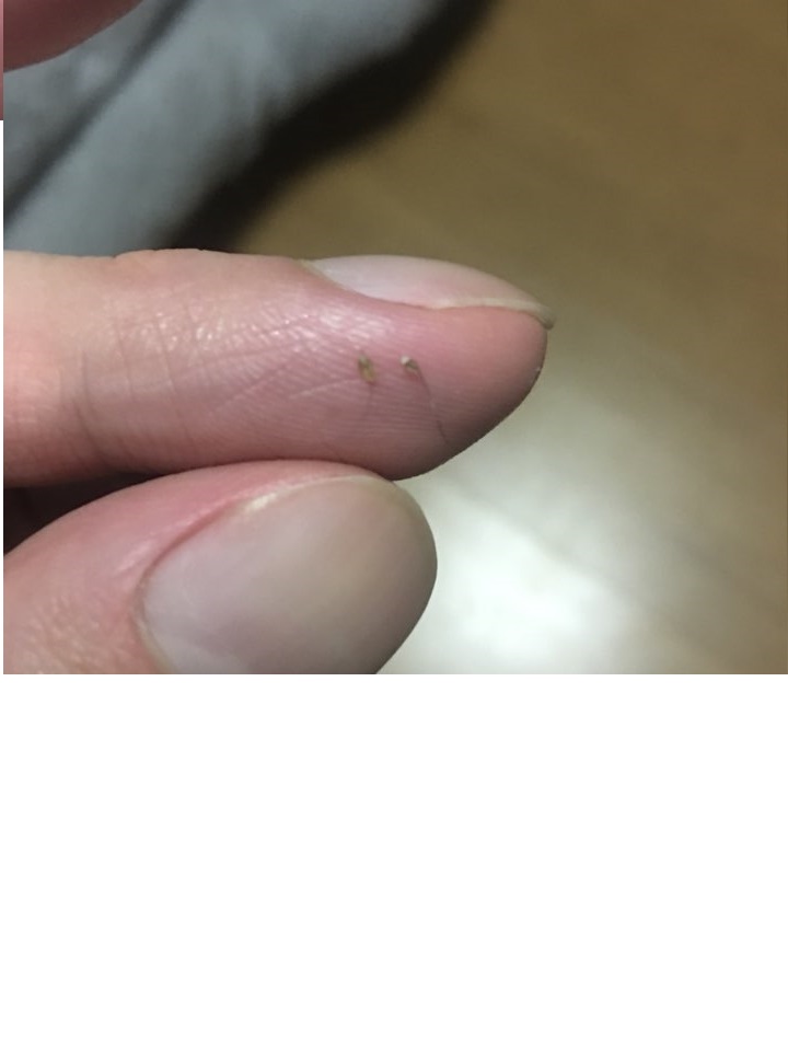 KakaoTalk_20180218_013046597.jpg