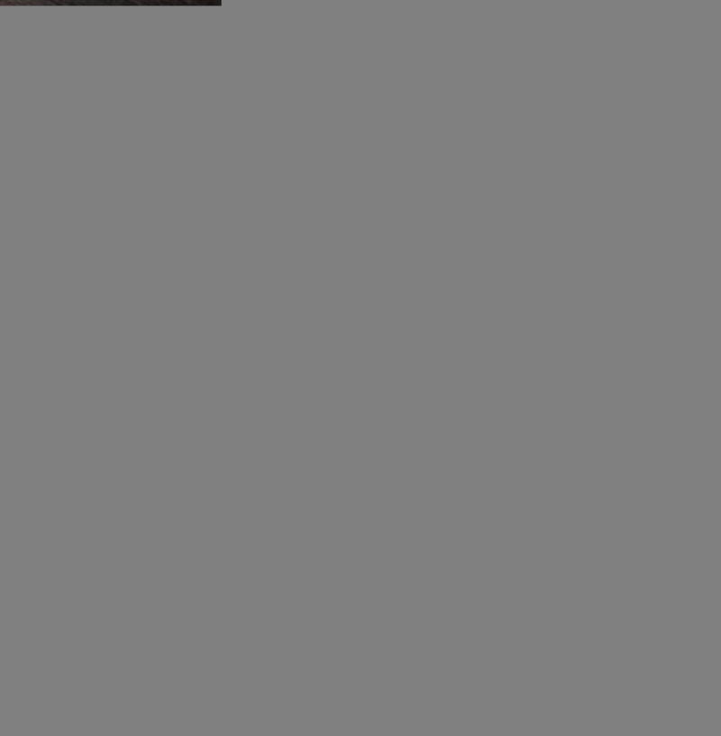 IMG_2638.jpeg