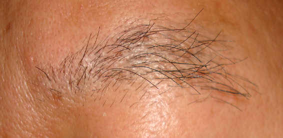 2008051195047.jpg