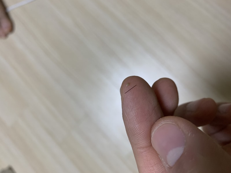 8B4B2EE4-B663-4A20-86DA-4106AAC0C7AE.jpeg
