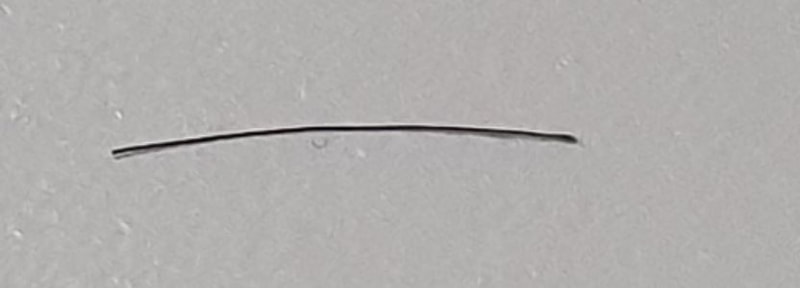 머리카락.JPG
