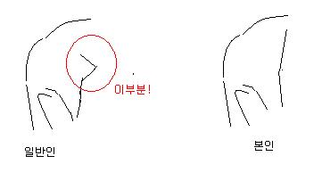머리모양.JPG