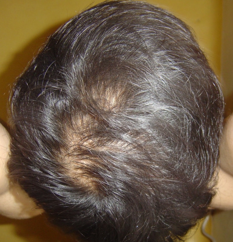 DSC05531-crop.JPG