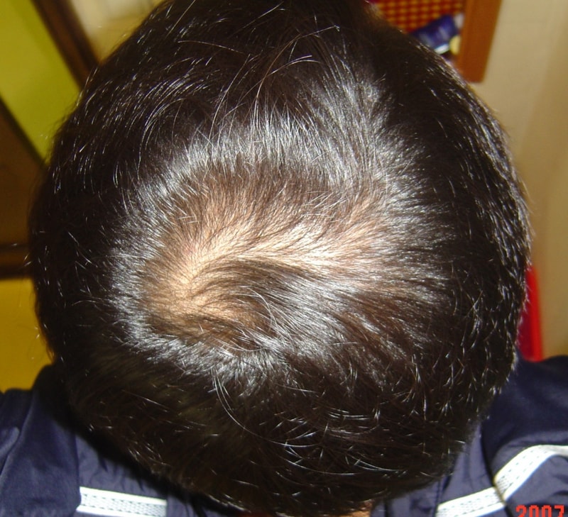 DSC05542-crop.JPG