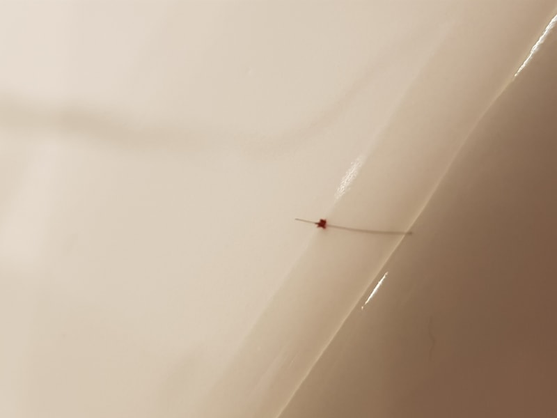 20180226_221615.jpg