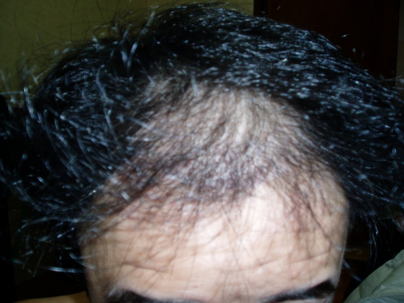 P1010003.JPG