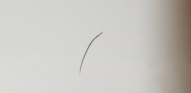 20190423_133136.jpg