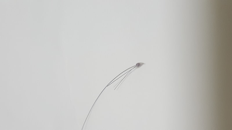 20170228_151301.jpg