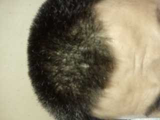 hair2.bmp