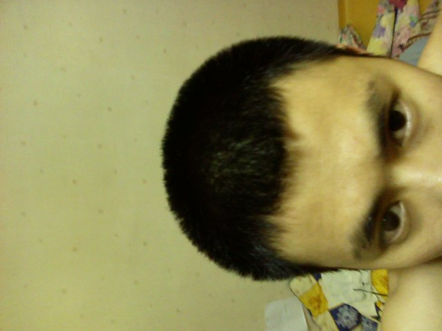 모모사랑.bmp