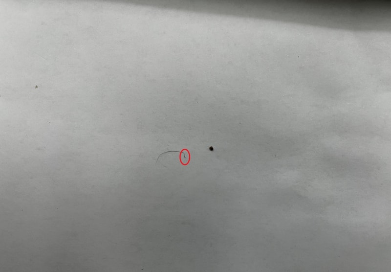 KakaoTalk_20220822_110125178.jpg