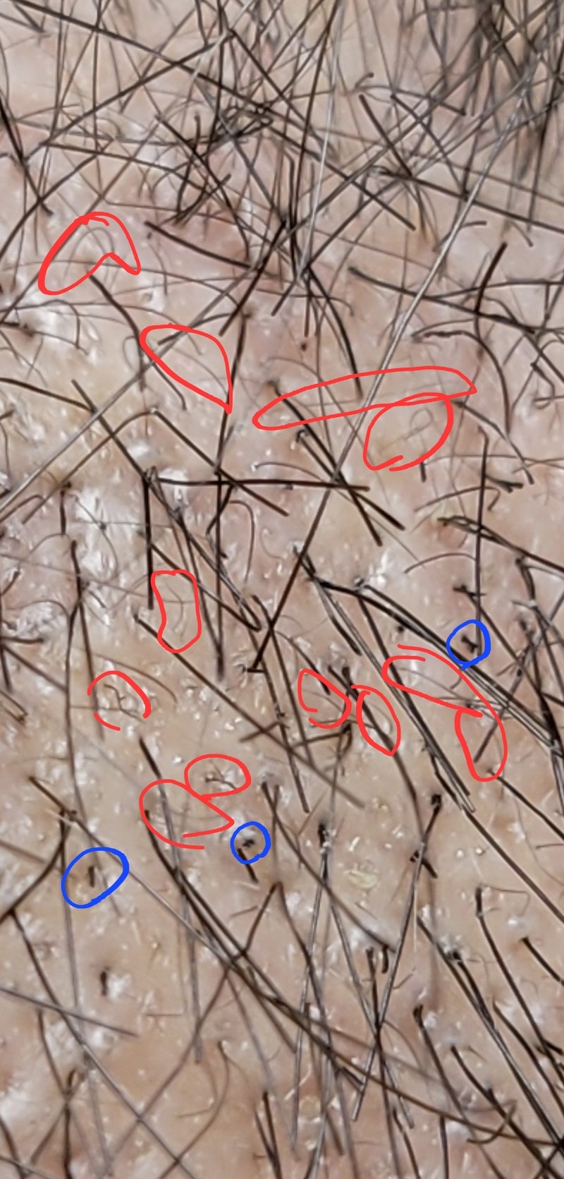 1000034780.jpg