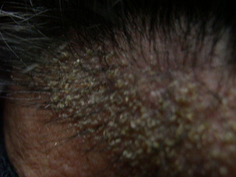 DSCN1867.JPG