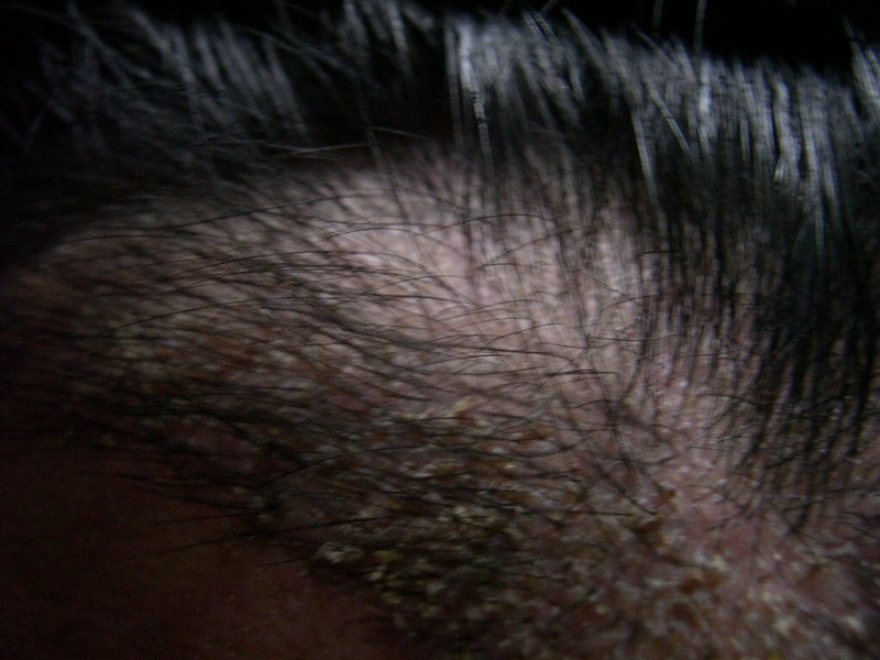 DSCN1865.JPG