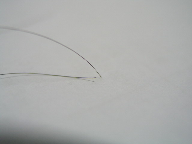 P3210200.JPG