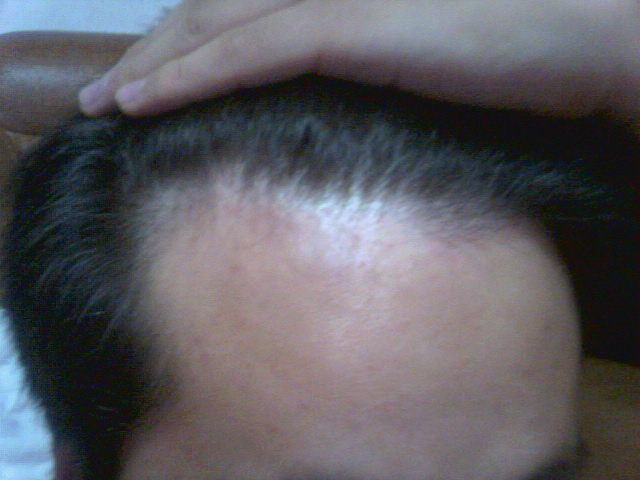 사진3_20060917201258.jpg