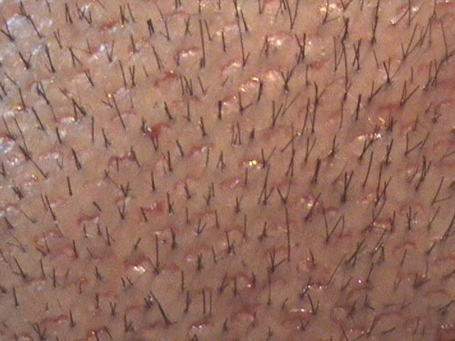 280.jpg