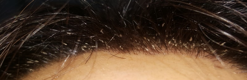 20170813_233143.jpg
