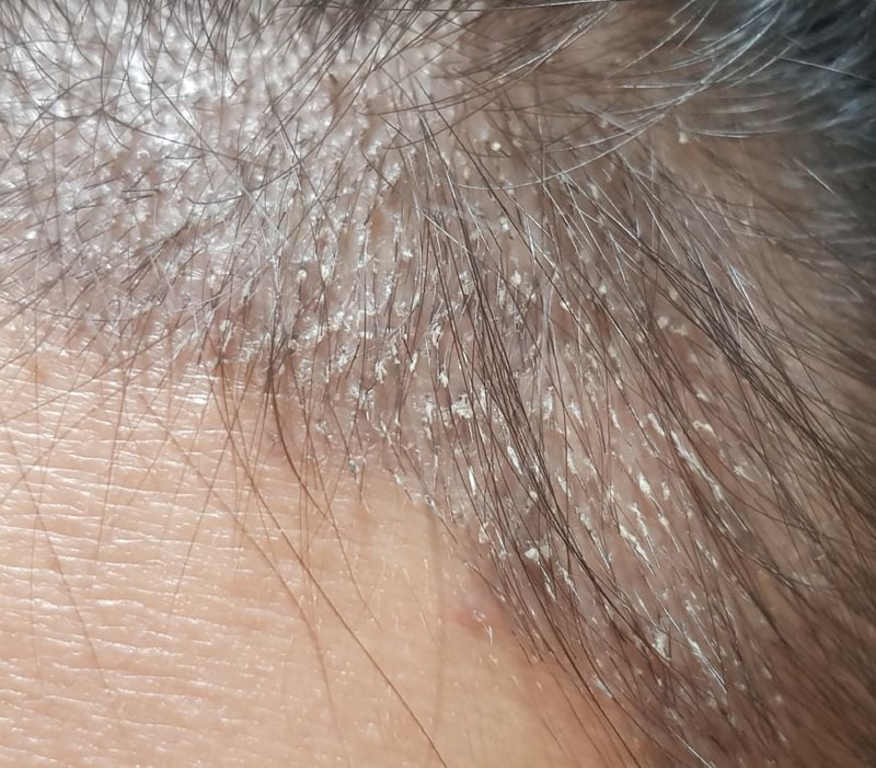 20190803_230633t.JPG