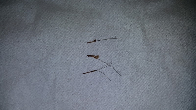 20180225_004224.jpg