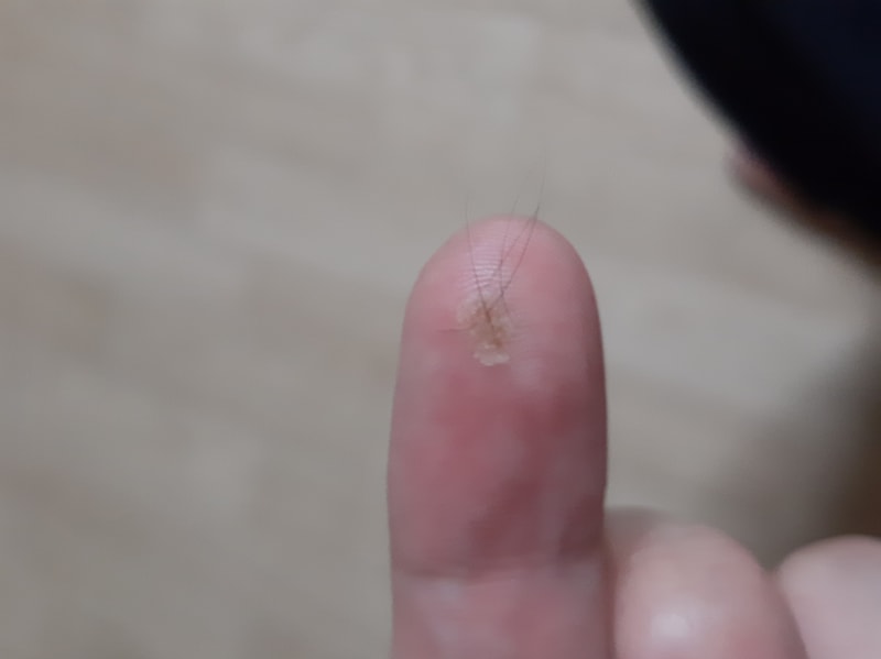 20190916_233717.jpg