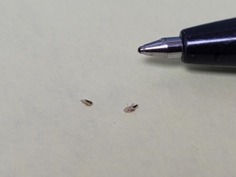 20201221_173718.jpg