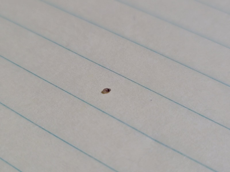 20201217_012449.jpg